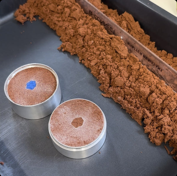 Bespoke Paw Print Necklace (your own pet's paw made into jewellery!)